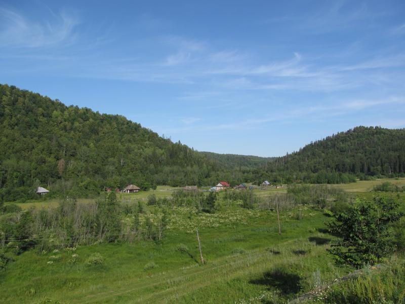 IMG_6851.jpg