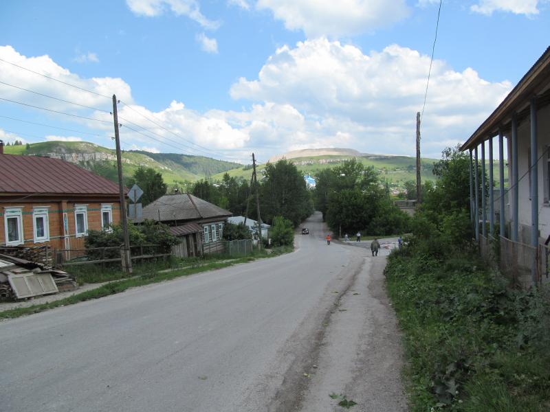 IMG_7013.jpg