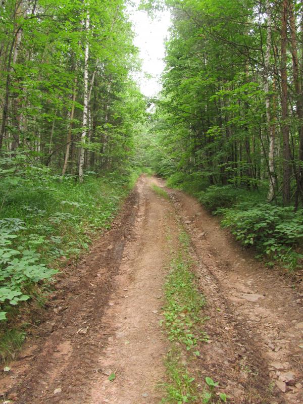 IMG_7172.jpg