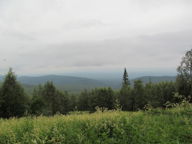 IMG_7181.jpg