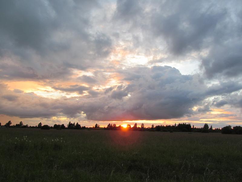 IMG_9677_2.jpg