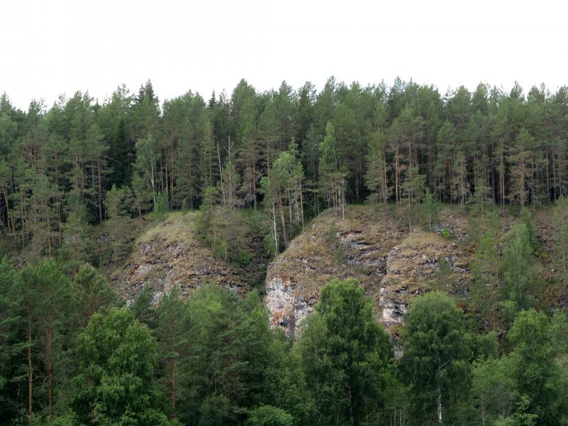 IMG_1465_5.jpg