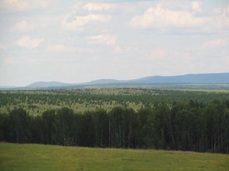 IMG_1483_2.jpg