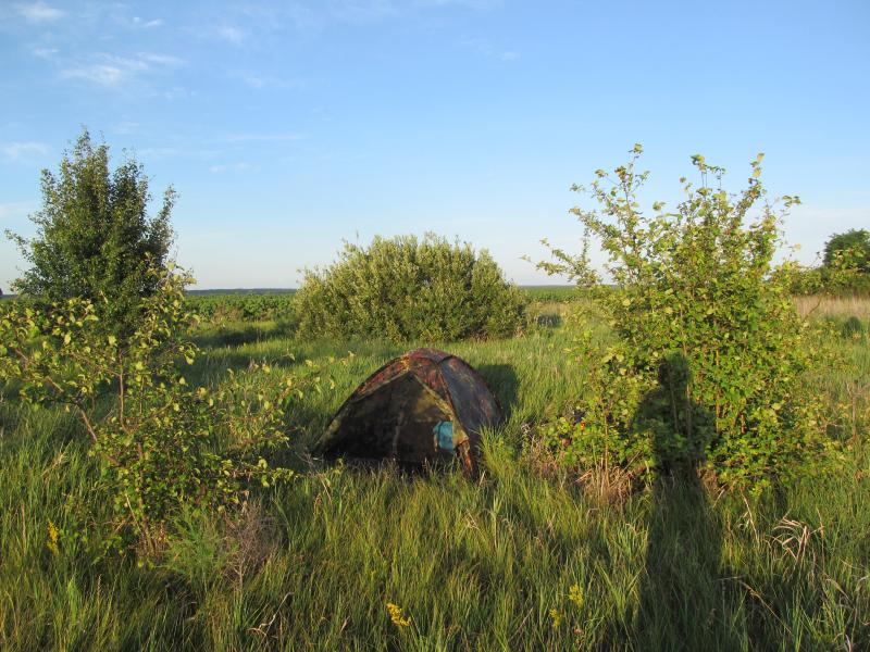 IMG_3200_5.jpg