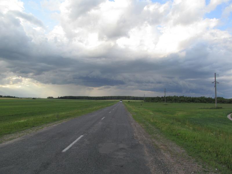 IMG_3401_3.jpg