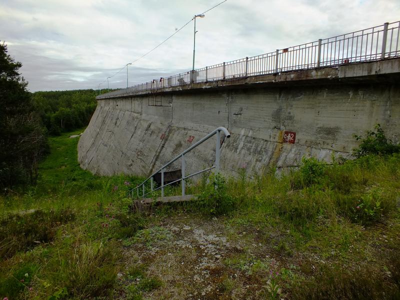 466.jpg