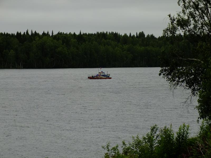 479.jpg