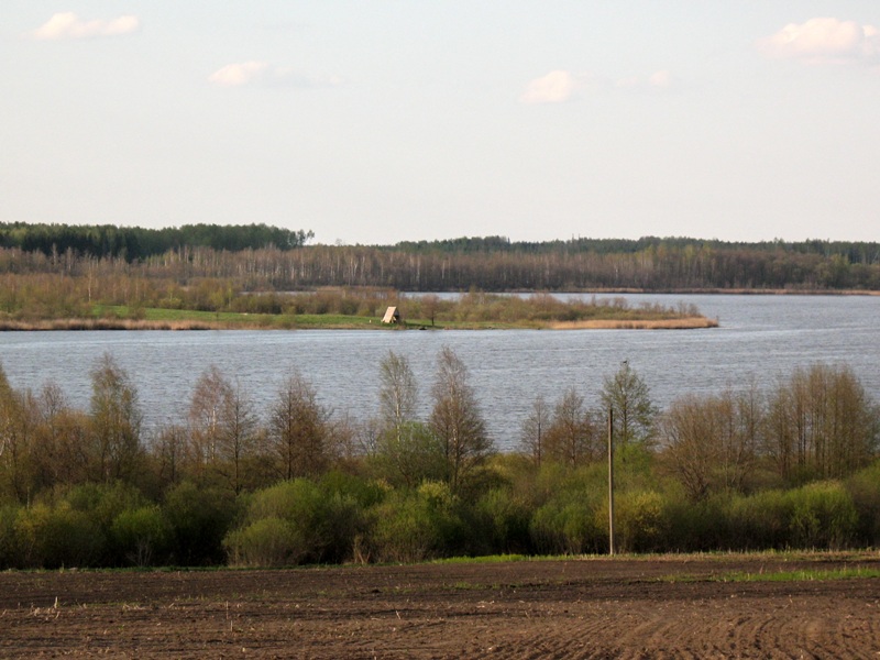 Izobrazhenie_119.jpg