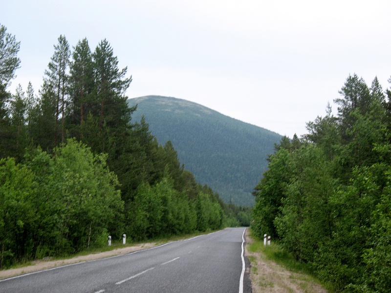 IMG_2644.jpg