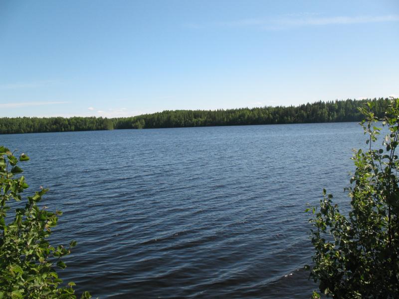 IMG_2915.jpg