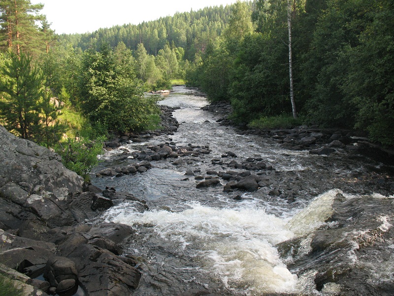 IMG_3045.JPG