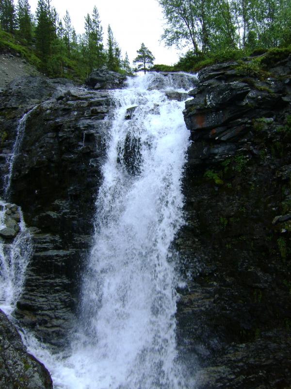 DSC03668.jpg