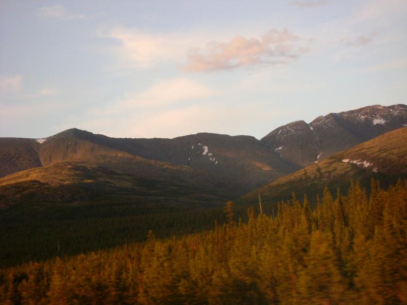 DSC03754.jpg