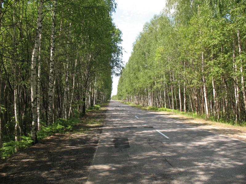 Izobrazhenie_211241.jpg