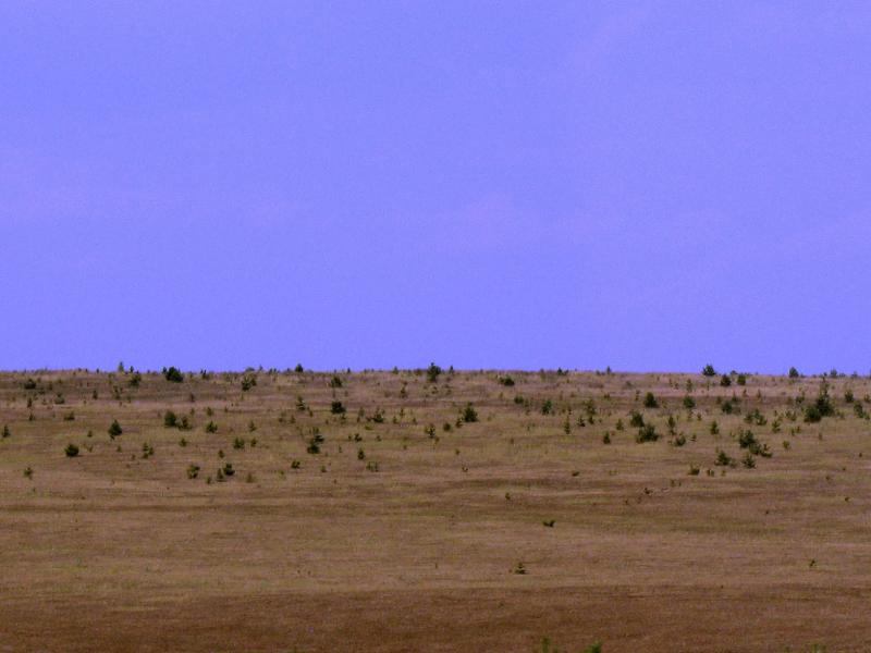 Izobrazhenie_211329.jpg