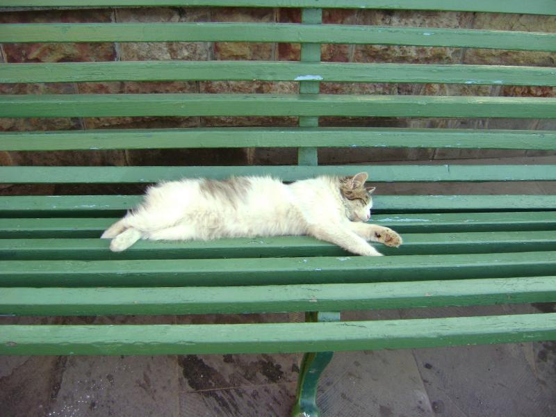 Izobrazhenie_211350.jpg