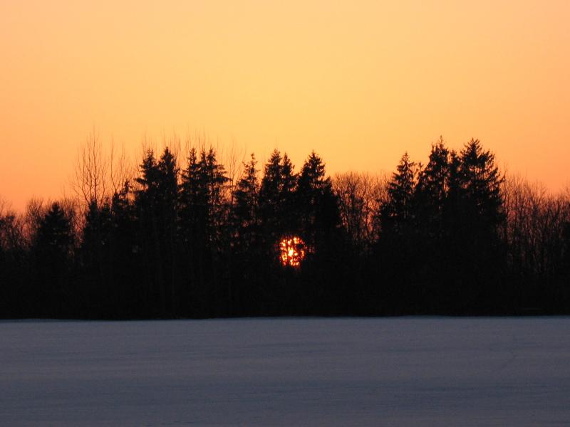 IMG_4719.jpg