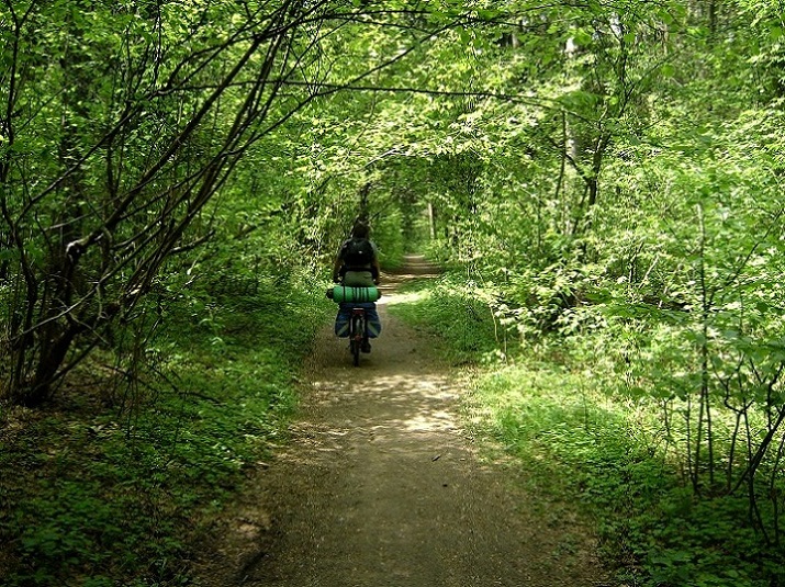 DSC05201.jpg