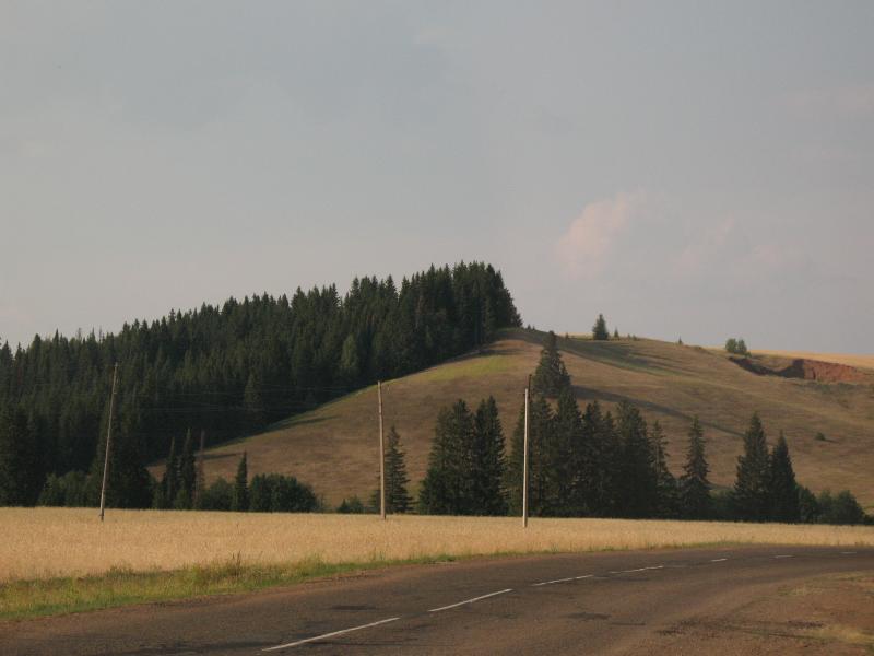 Izobrazhenie_211335.jpg