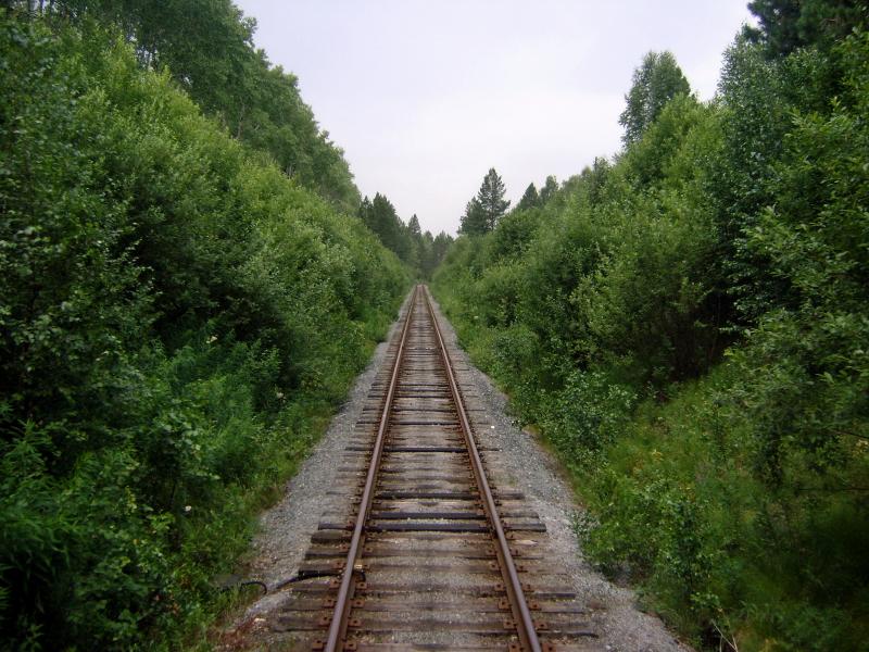 81_4.jpg