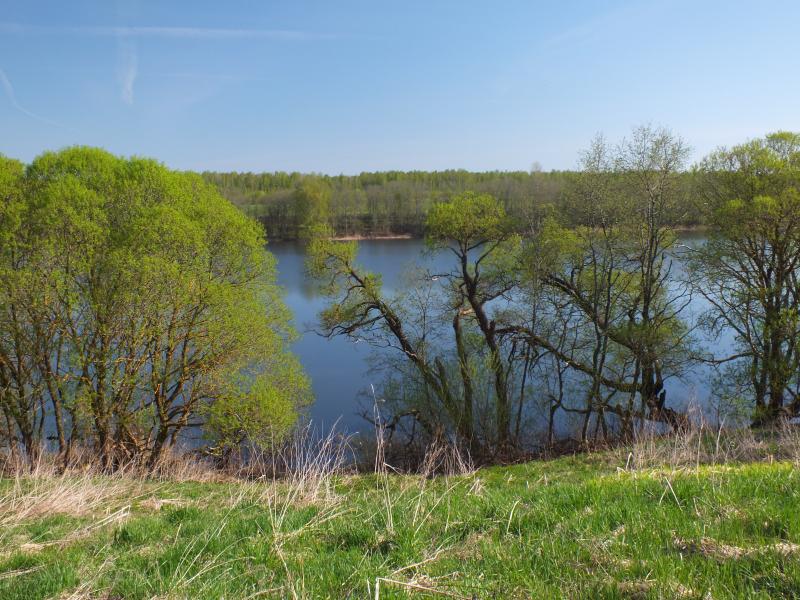 DSCF5506.jpg