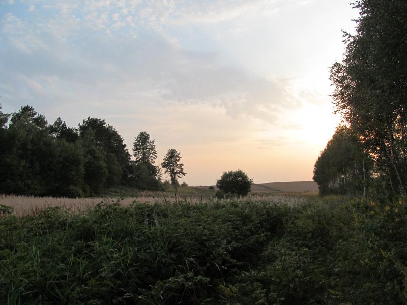 IMG_4043_2.jpg