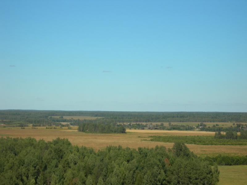 3303627.jpg