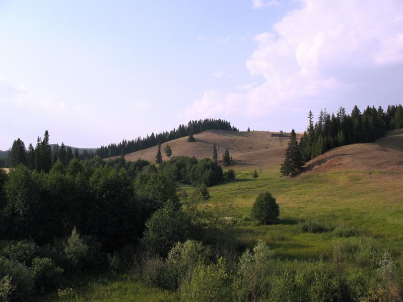 Izobrazhenie_211336.jpg