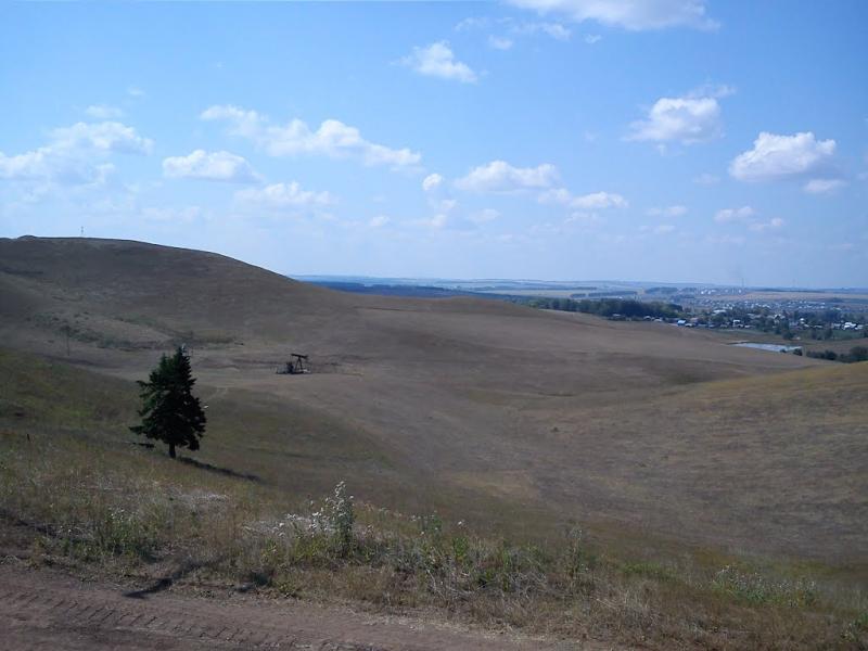 80774034.jpg