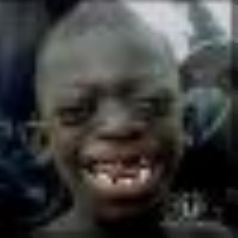 niger4