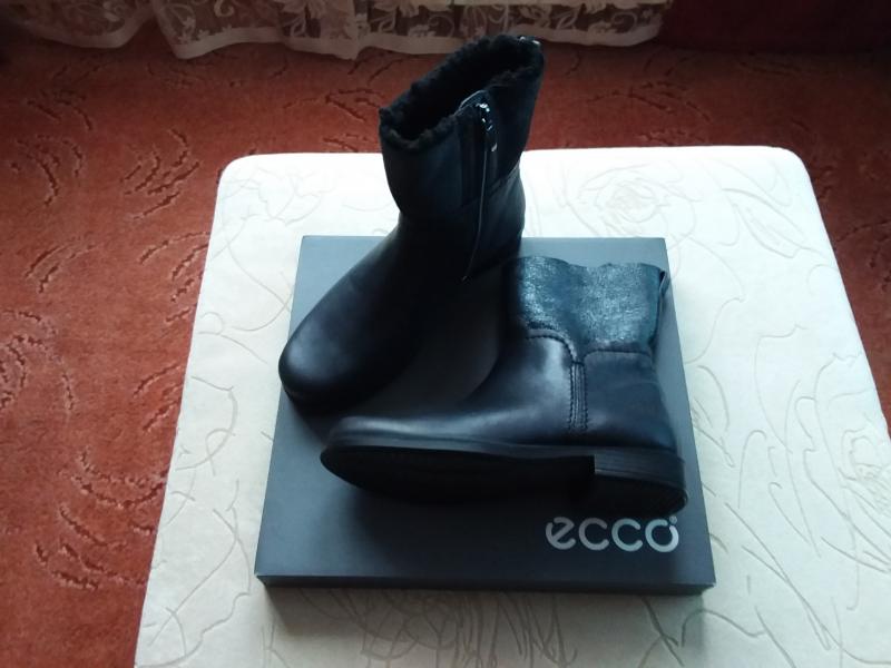 20190201_150716.jpg