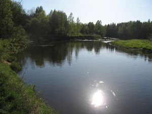 f87.jpg