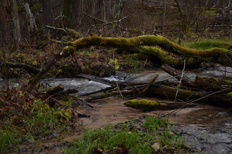 DSC_3864.jpg