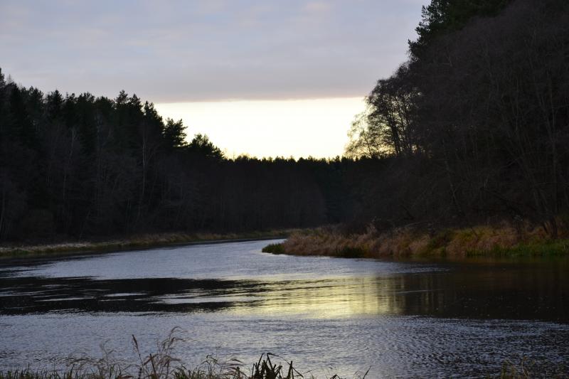 DSC_3904.jpg