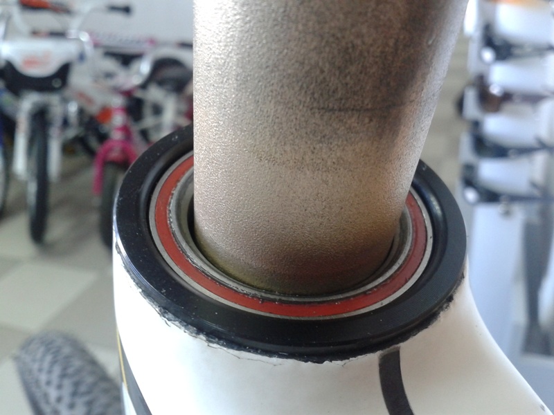 20120116_030814.jpg