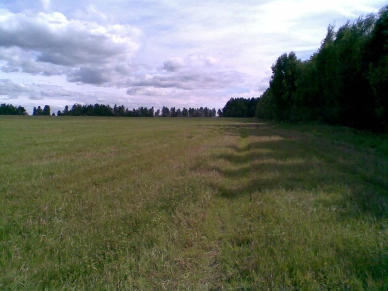 Foto043.jpg
