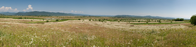 IMG_8608-Edit.jpg