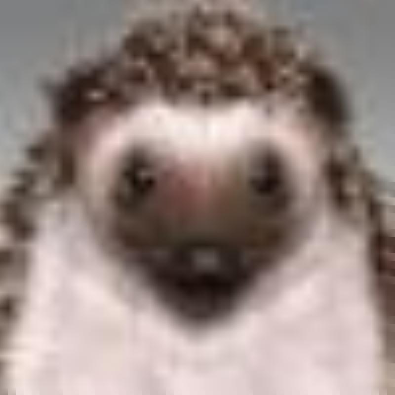 Aerien