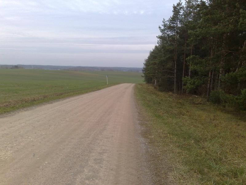 12112012693.jpg