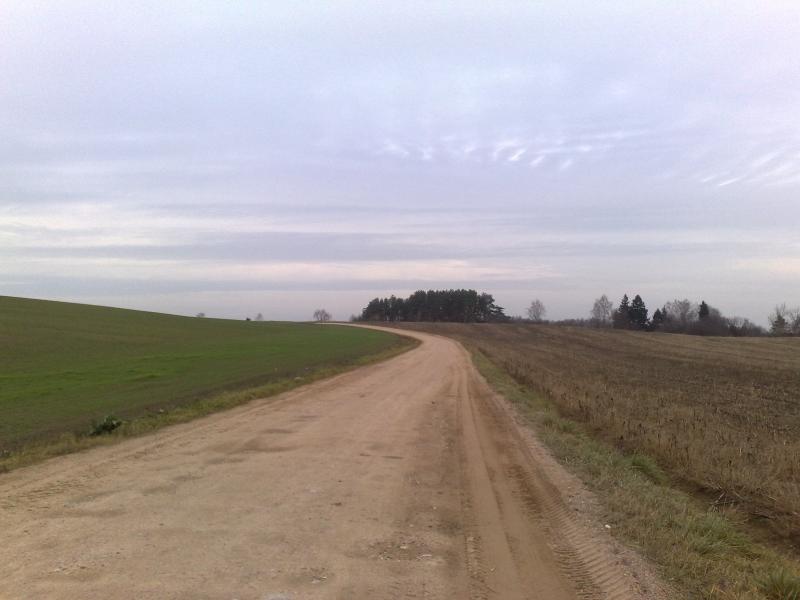 12112012694.jpg