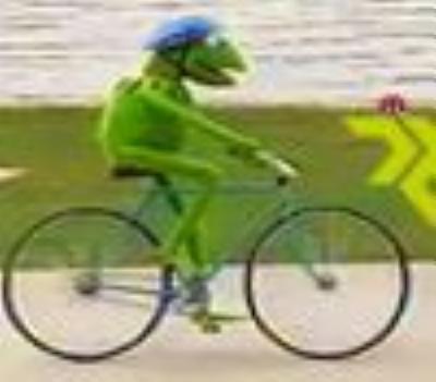 Frosch