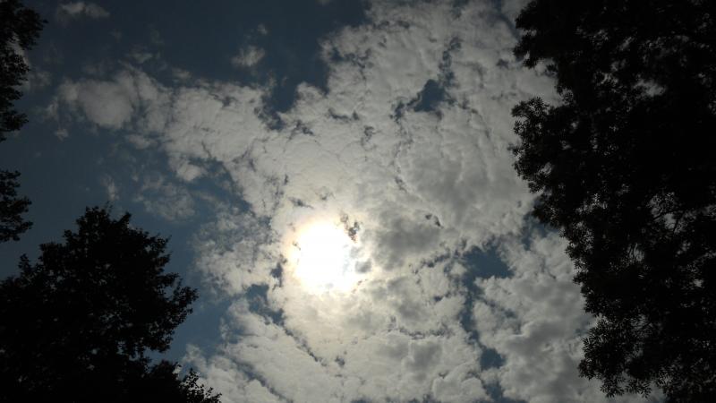 DSCN4026.jpg