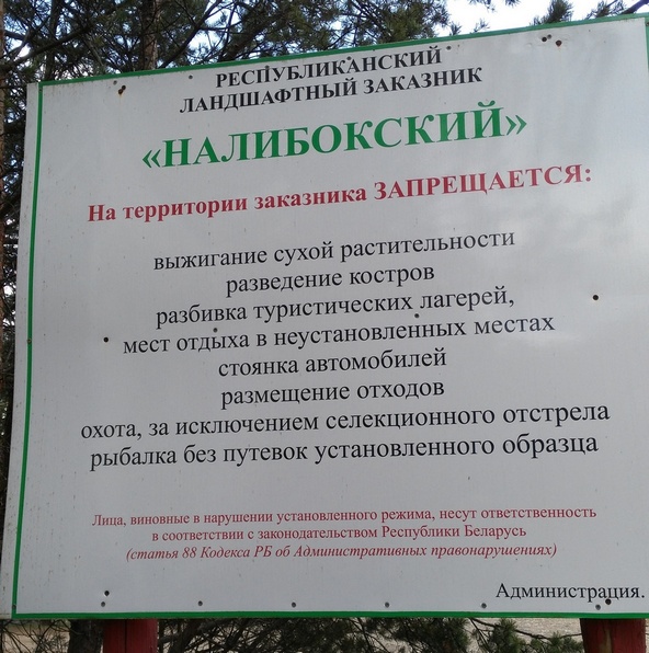 1_886.jpg