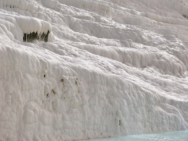 turkey2008-74.jpg