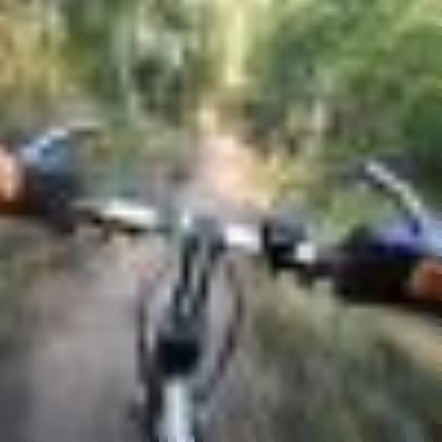 Veloid