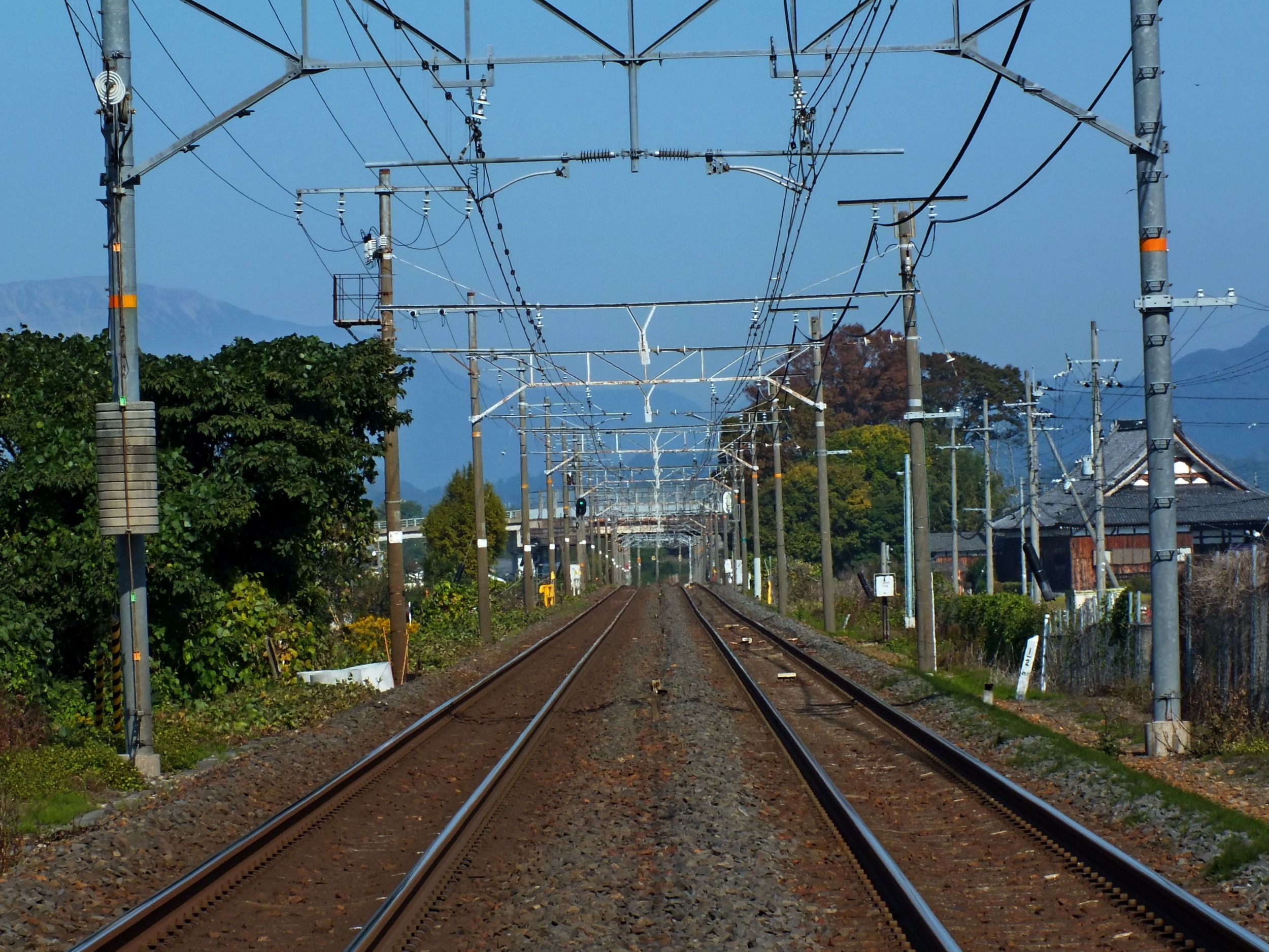 01722_crop.jpg