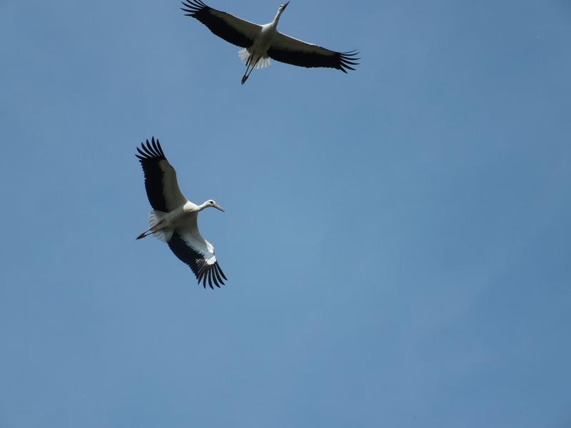 DSCF7897.jpg