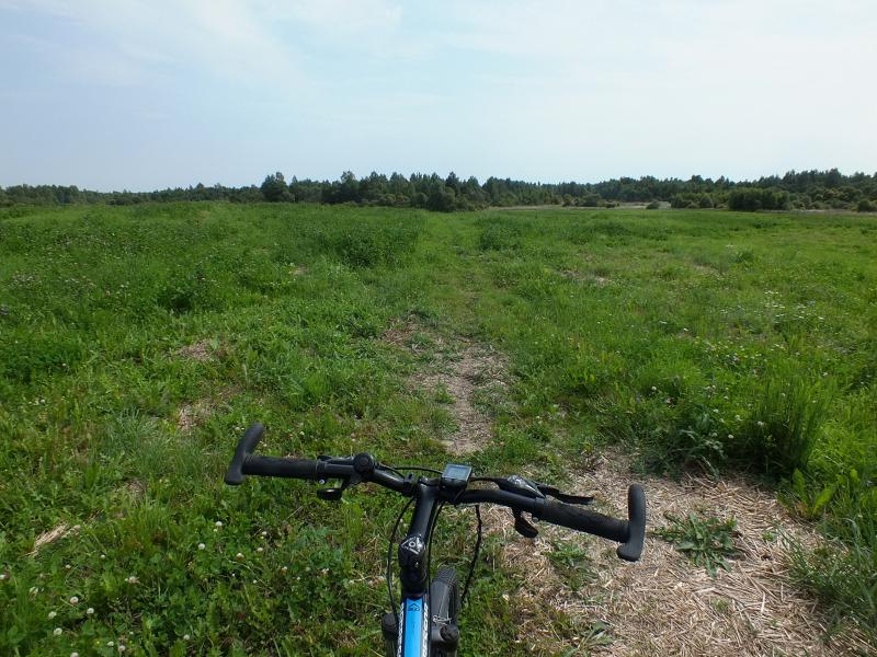 DSCF7970.jpg