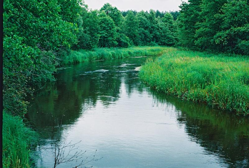 CNV000044.jpg