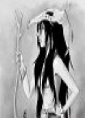 Shamanka13